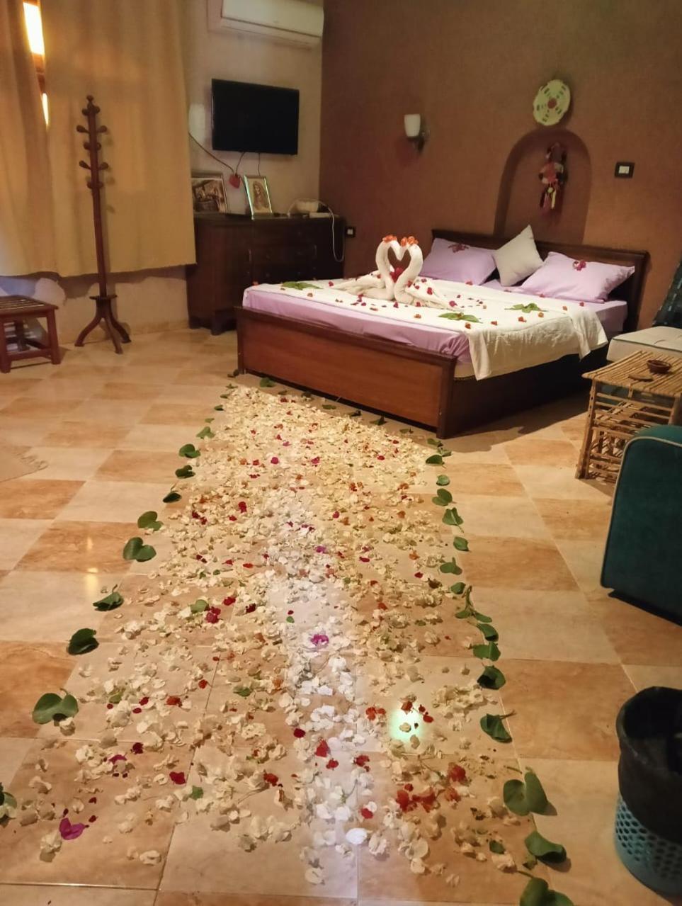 Panta Lodge Siwa بنتا لودج سيوة Siwa Oasis Buitenkant foto