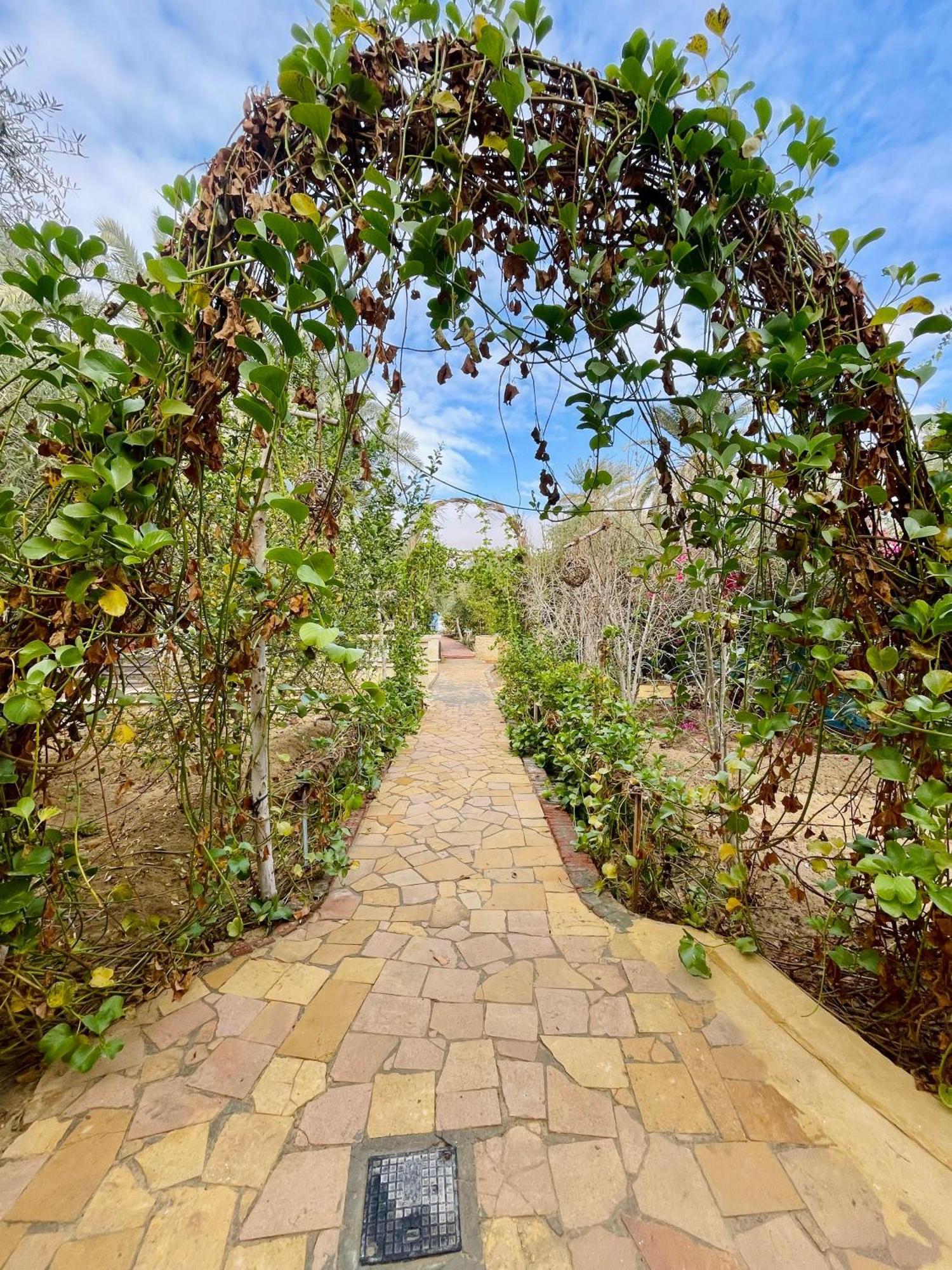 Panta Lodge Siwa بنتا لودج سيوة Siwa Oasis Buitenkant foto